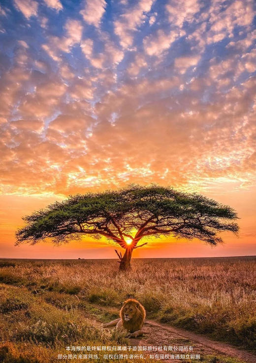 【轻奢南非】 花园大道醉美 10 天 商品图1