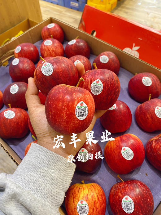 【宏丰精选】新西兰加力果  皇室嘎啦果记忆之果 酸甜适中多汁  活动价15.8元一斤 商品图7