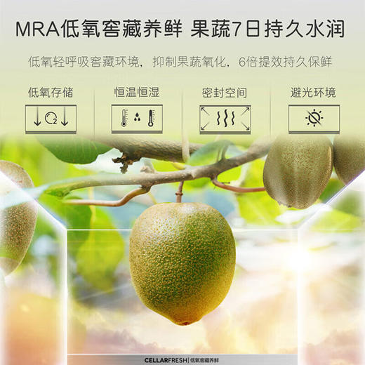 卡萨帝（Casarte）550升法式多门冰箱_超薄零嵌入式_一级能效变频无霜双系统_家用大容量_星悦_BCD-550WGCFDM4WKU1 商品图4