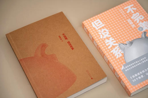 不完美，但没关系 丛非从 著 商品图4