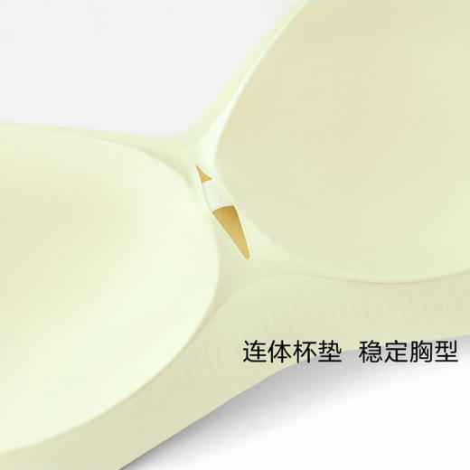 【超值2件装 随机赠送内裤2条】草本初色 高定山茶花香氛W果冻提拉内衣 缪斯5号(细闪) 5103 商品图5