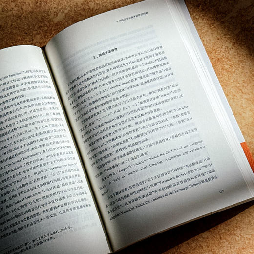 中文的本土与国际探索 全球中文发展研究 第三辑 商品图11