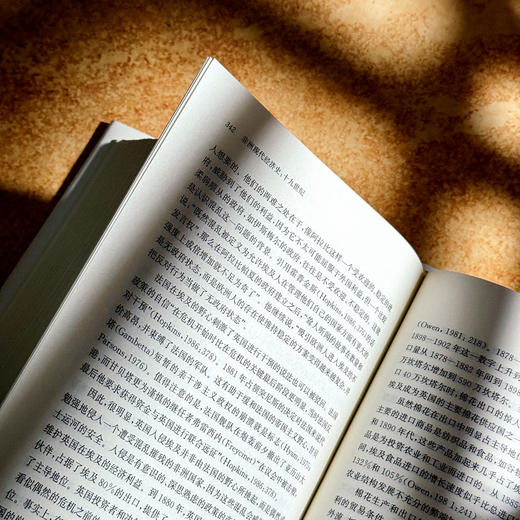 非洲现代经济史 十九世纪 保罗·提杨贝·泽勒扎 非洲历史研究 商品图11