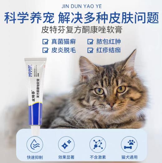 金盾皮特芬软膏猫藓外用药 宠物猫癣药狗狗皮肤病专用药 商品图2