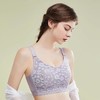 QC-W6224*  大胸显小内衣女薄款蕾丝舒适透气收副乳无钢圈大码全罩杯文胸bar（单件） 商品缩略图1