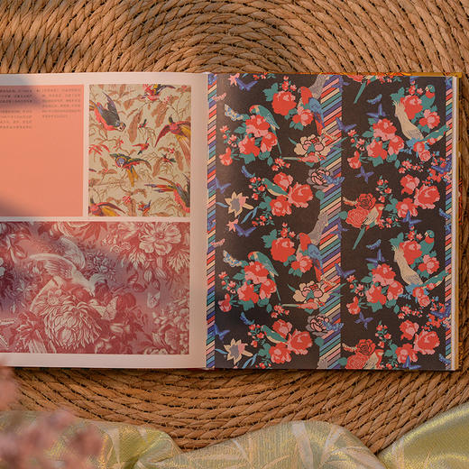 【定制刷边版】世界经典纹样大全 商品图5