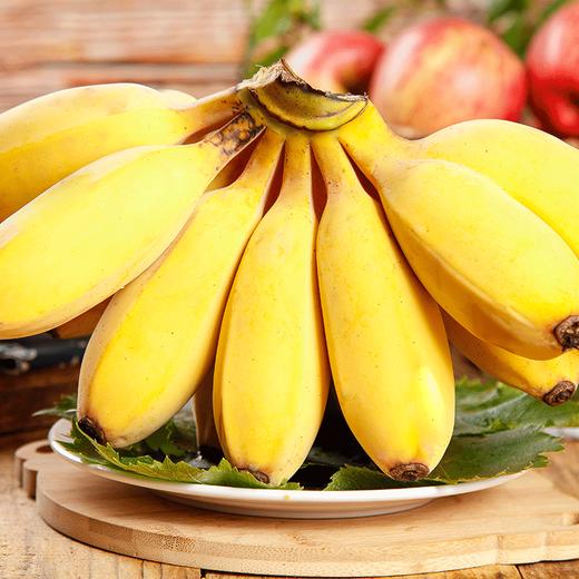 【福建苹果蕉】原生态苹果粉蕉，绿色天然，新鲜采摘，香甜可口，只做实力派！ 商品图1