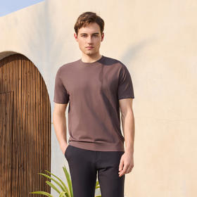 半身缘男装 夏季高端透气舒适凉爽不易皱时尚短袖252112M01112102