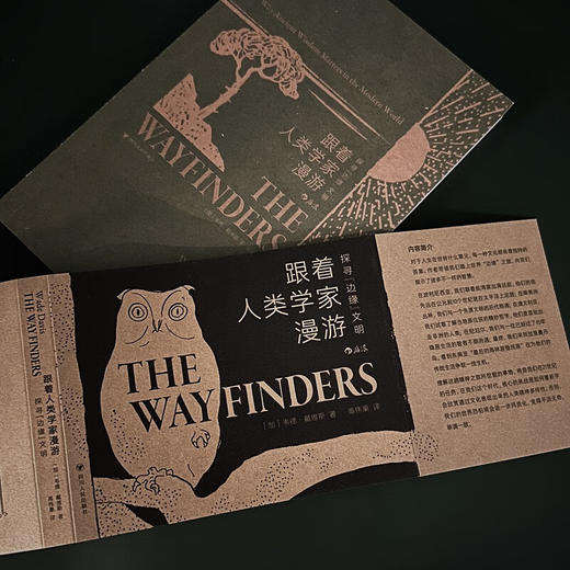 跟着人类学家漫游：探寻边缘文明（加）韦德·戴维斯 著 人类学启蒙课 原住民 社会学 商品图1