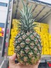 【爆品回归】树上熟古法凤梨/玫瑰凤梨，几乎纯甜，香味浓，青皮带一丝黄也好吃，连中间的心都是甜的！ 商品缩略图6
