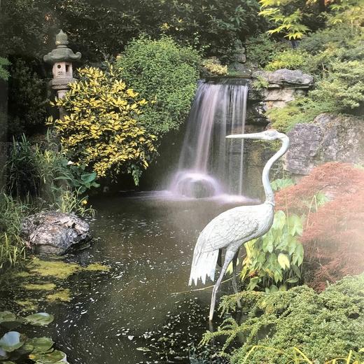 水上花园图集 267幅插图（174幅彩色） 精装16开 商品图14