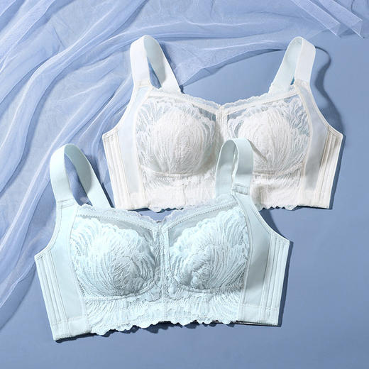 QC-W6689*  100%桑蚕丝内衣女薄款大胸显小收副乳防下垂超薄兔耳杯无钢圈文胸（单件） 商品图0
