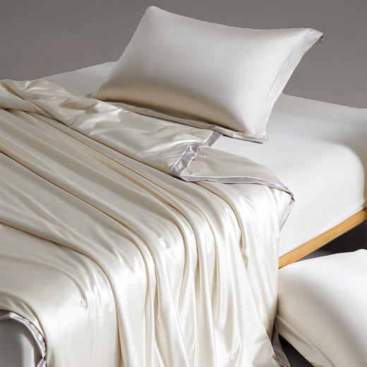 【分仓直发包邮】无印良品极奢真丝绸纯蚕丝被MJ-B2025-0185 商品图4