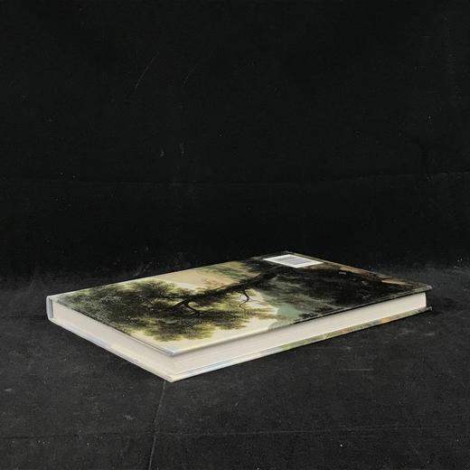 华兹华斯的湖畔日记 约百幅插图 精装16开 商品图2