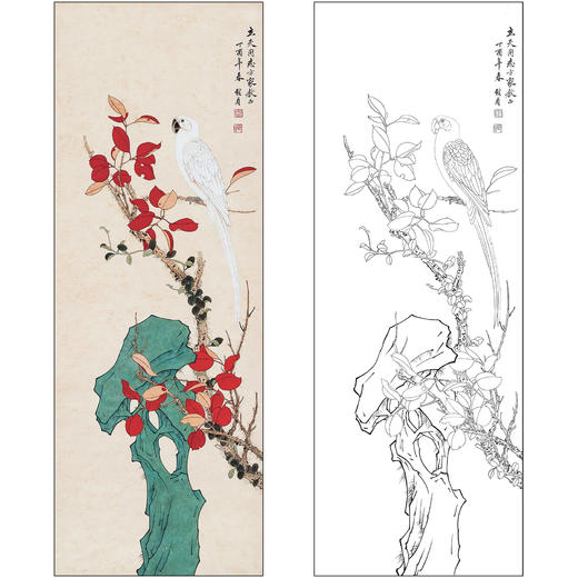 俞致贞花鸟工笔画白描底稿《红叶鹦鹉》临摹勾线高清打印稿ZZ88 商品图0