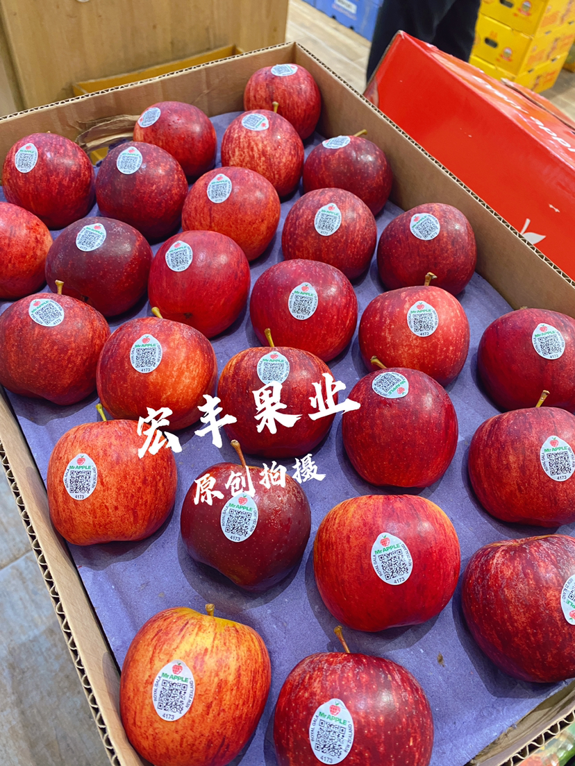 【宏丰精选】新西兰加力果  皇室嘎啦果记忆之果 酸甜适中多汁  活动价15.8元一斤