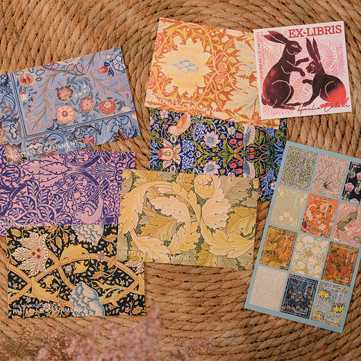 【定制刷边版】世界经典纹样大全 商品图6