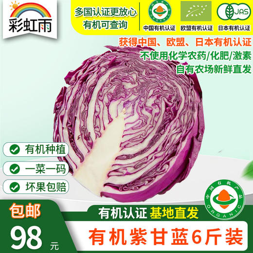 包邮【基地直发】有机蔬菜紫甘蓝4斤/6斤/10斤欧盟认证现摘新鲜 商品图5