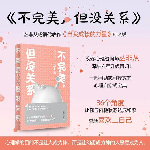 不完美，但没关系 丛非从 著 商品图0