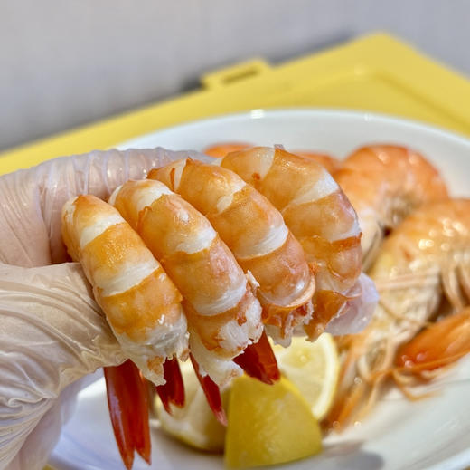 马达加斯加海虎虾顺丰快递运费到付 商品图5