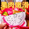 云南白心火龙果新鲜超甜当季 商品缩略图4