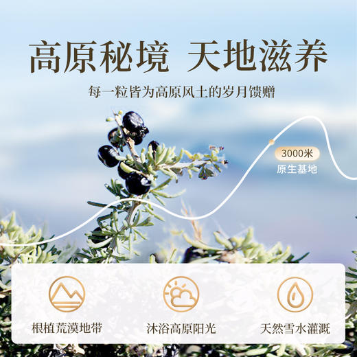 86g黑枸杞礼盒 商品图2