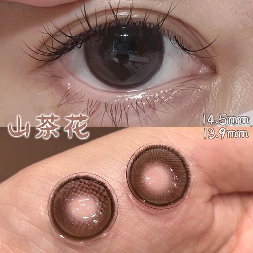 Jellydoll 可可球山茶花 14.5mm 着色13.9mm 商品图4