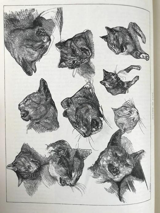 31*24cm！1884年 艺术杂志 数百幅插图 真皮精装大16开 商品图14