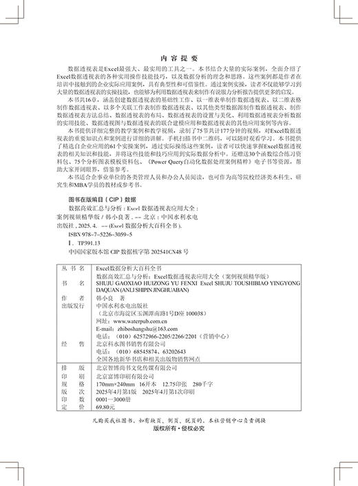 数据高效汇总与分析：Excel数据透视表应用大全（案例视频精华版） 商品图1