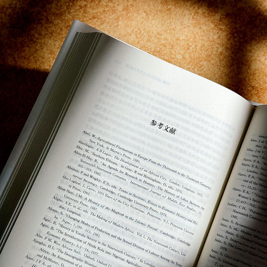 非洲现代经济史 十九世纪 保罗·提杨贝·泽勒扎 非洲历史研究 商品图13