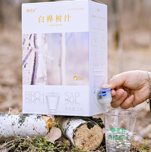 嘉桦纯白桦树汁水饮料有机森林桦树原液植物饮品2.5L盒装(非浓缩)【顺丰发出退货需支付实际拦截费用】 商品图2