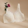 QC-W6169*  新品大胸显小文胸薄款内衣无钢圈聚拢超薄性感蕾丝收副乳（单件） 商品缩略图2