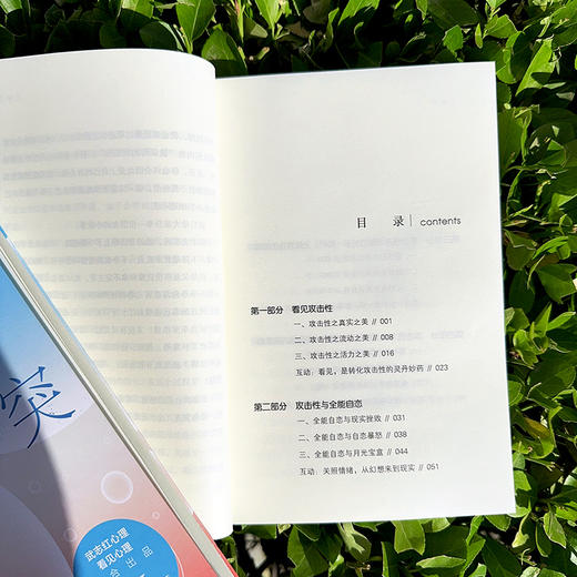 敢于冲突：活出必要的攻击性 商品图7