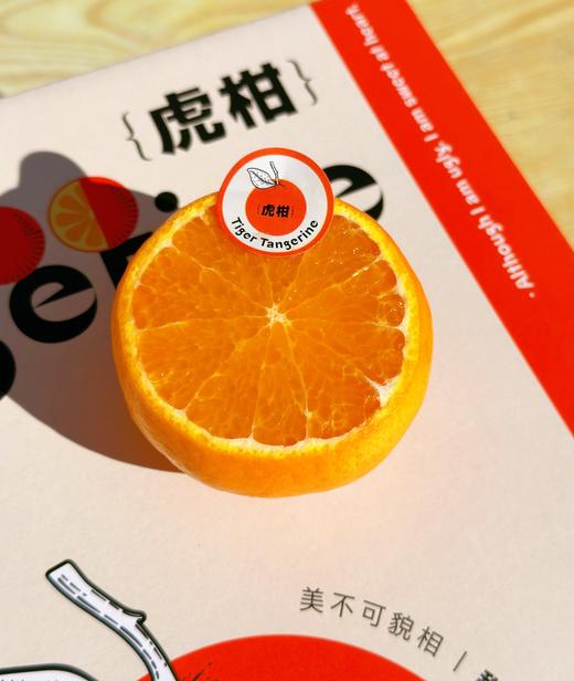 【云南高原虎柑】野得生猛·甜得纯粹‼  一口爆汁，而且纯甜，太好吃啦，一口吃尽柑、桔绝妙口感的神仙水果~ 商品图7