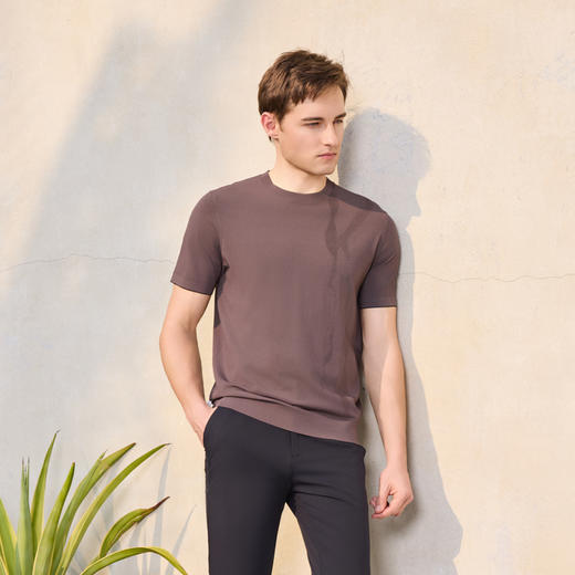 半身缘男装 夏季高端透气舒适凉爽不易皱时尚短袖252112M01112102 商品图1