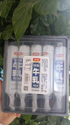 康怡特制牛乳(牛乳口味)