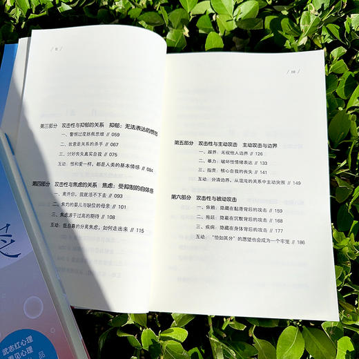 敢于冲突：活出必要的攻击性 商品图8