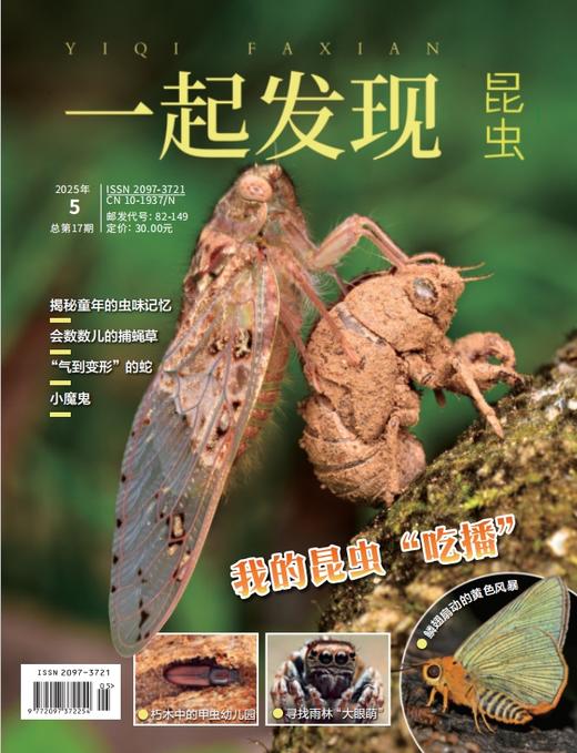 2025年《一起发现》全年10本一次发出 商品图3