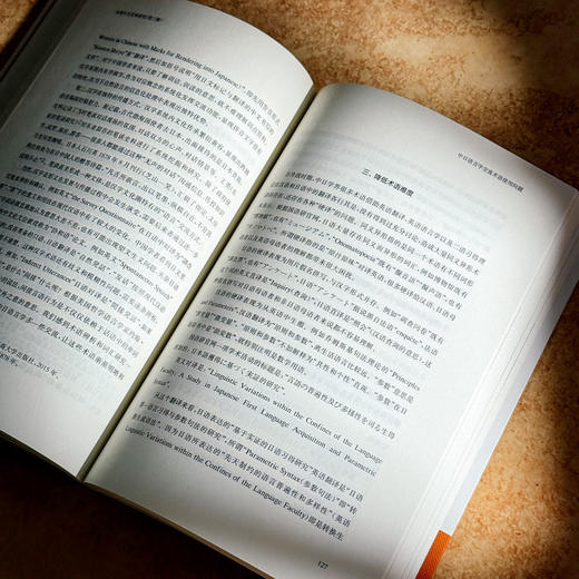 中文的本土与国际探索 全球中文发展研究 第三辑 商品图10