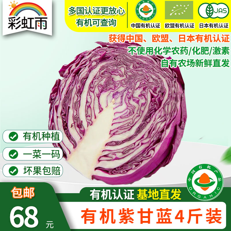 包邮【基地直发】有机蔬菜紫甘蓝4斤/6斤/10斤欧盟认证现摘新鲜