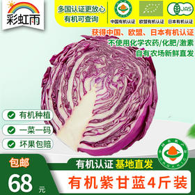 包邮【基地直发】有机蔬菜紫甘蓝4斤/6斤/10斤欧盟认证现摘新鲜