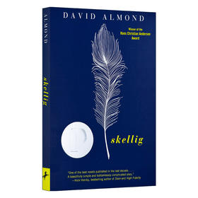 当天使坠落人间 英文原版小说 Skellig 普林兹文学奖 英文版青少年英语课外阅读 David Almond 戴维阿蒙德 进口原版书籍