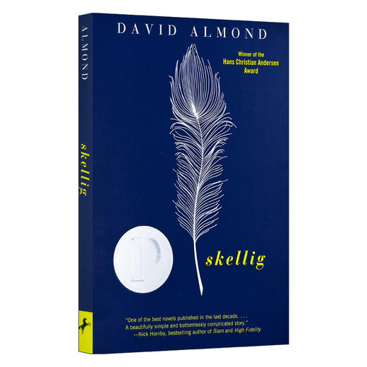 当天使坠落人间 英文原版小说 Skellig 普林兹文学奖 英文版青少年英语课外阅读 David Almond 戴维阿蒙德 进口原版书籍 商品图0