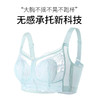 QC-W6689*  100%桑蚕丝内衣女薄款大胸显小收副乳防下垂超薄兔耳杯无钢圈文胸（单件） 商品缩略图4