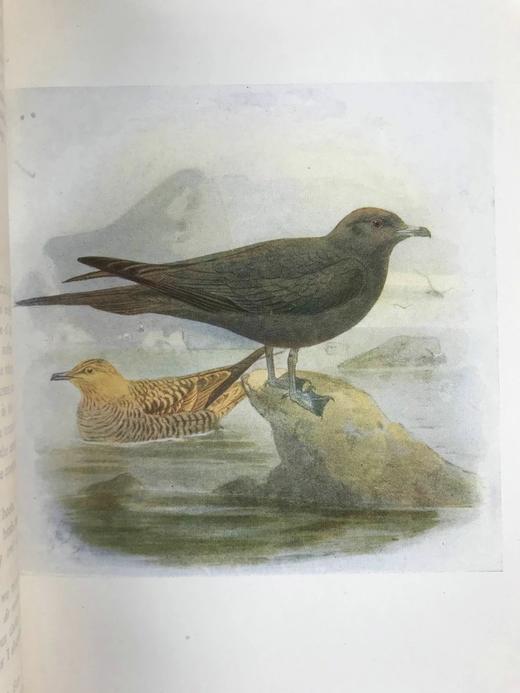 含藏书票！1914年 乡村的一年四季 12幅彩色20幅黑白插图 漆布精装大32开 商品图8