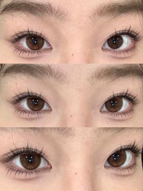 fully gift 半年抛美瞳 日心说 14.5mm