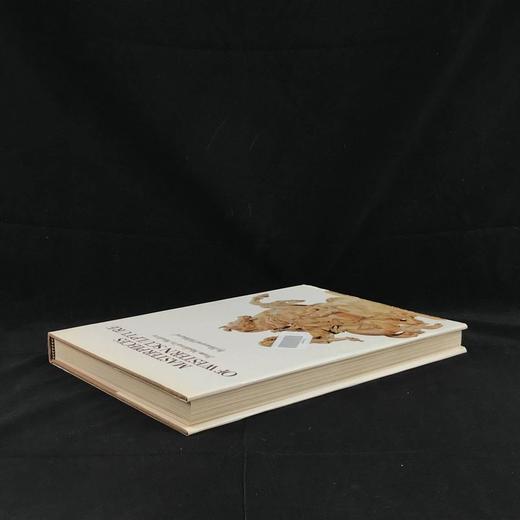 西方雕塑杰作 149件作品彩色插图 精装8开 商品图2