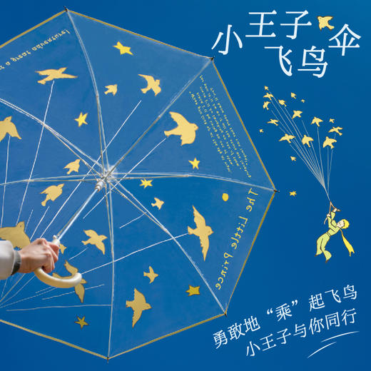 小王子飞鸟伞 原创设计 透明雨伞高颜值礼物 治愈卡通长柄伞加厚加固  果麦文创 商品图0