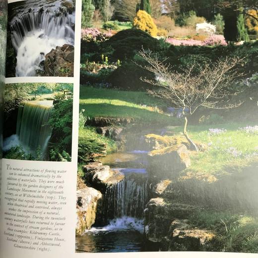 水上花园图集 267幅插图（174幅彩色） 精装16开 商品图6