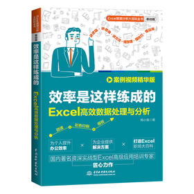 效率是这样练成的：Excel高效数据处理与分析（案例视频精华版）